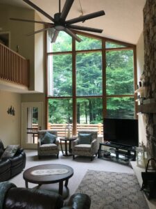 Read more about the article Go Green with Sun Control Plus